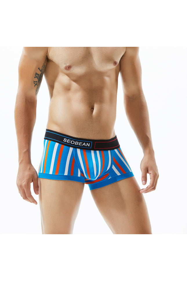Low Rise Stripe Boxer Brief