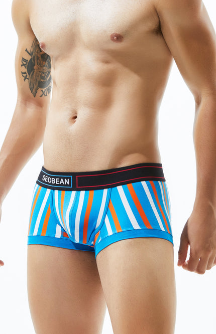 Low Rise Stripe Boxer Brief
