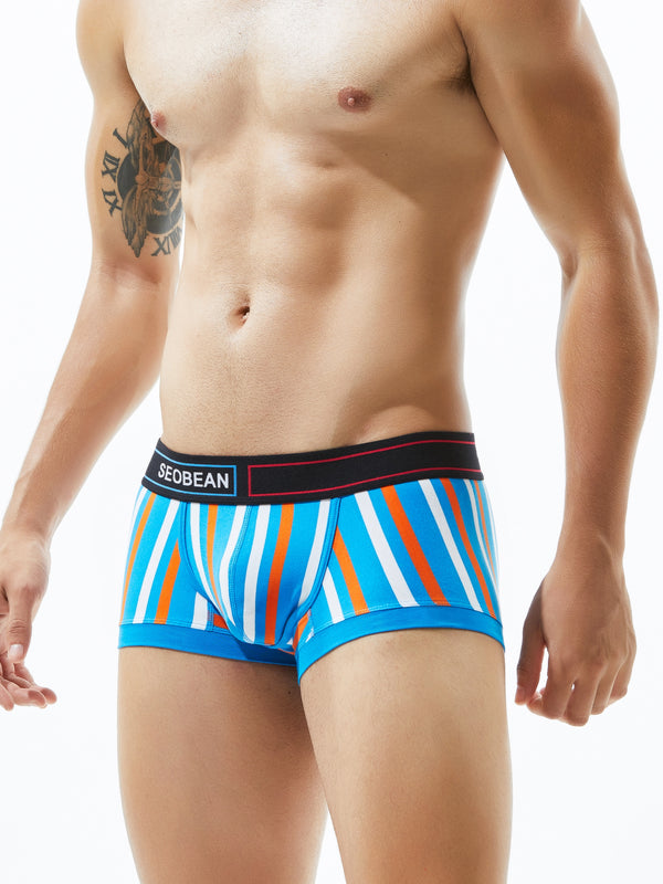 Low Rise Stripe Boxer Brief