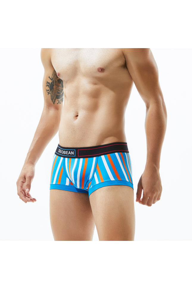 Low Rise Stripe Boxer Brief