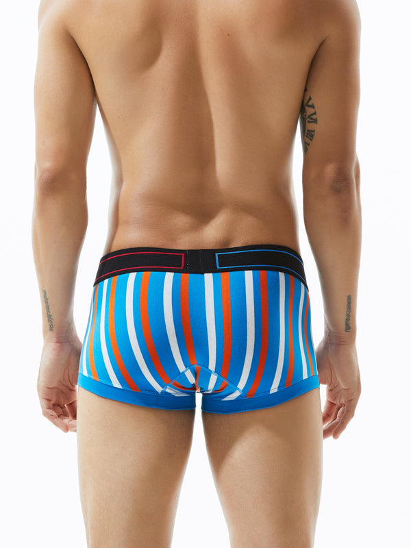 Low Rise Stripe Boxer Brief