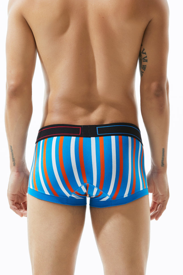 Low Rise Stripe Boxer Brief