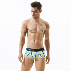 Low Rise Stripe Boxer Brief
