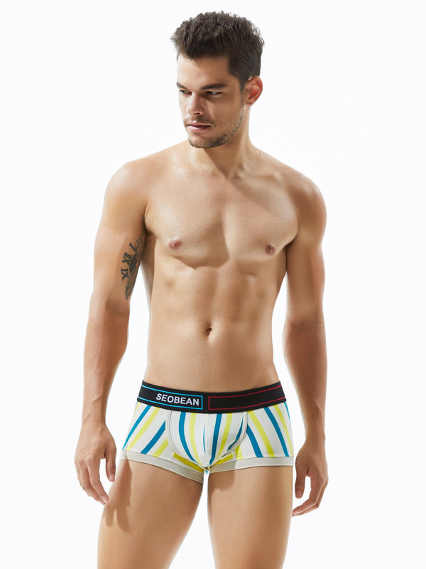 Low Rise Stripe Boxer Brief
