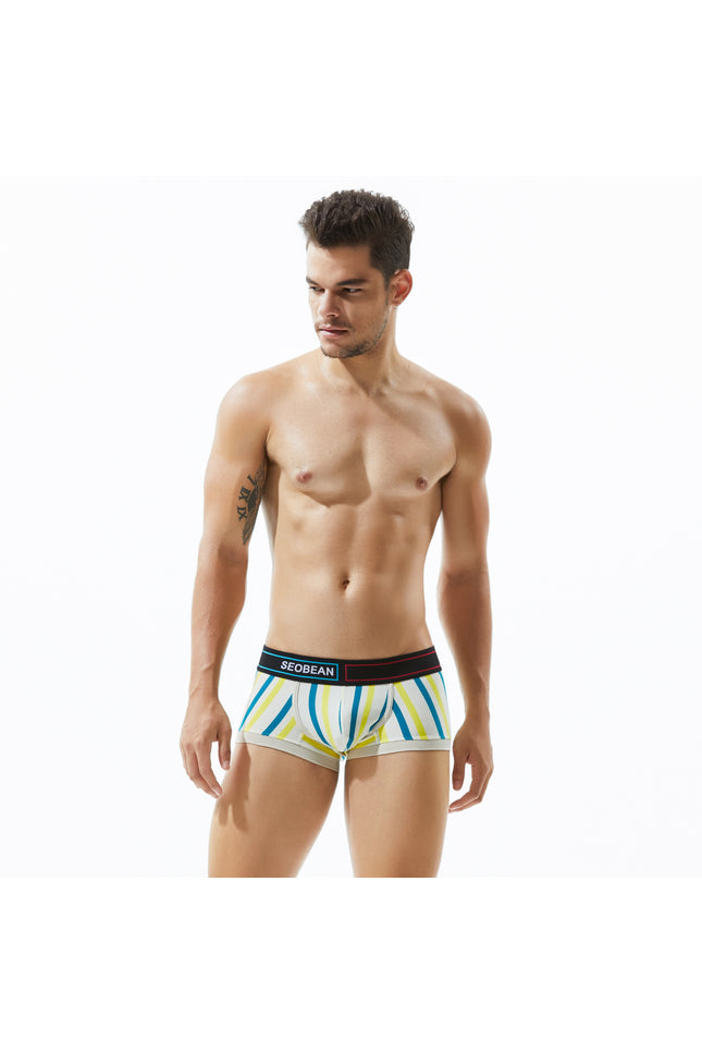 Low Rise Stripe Boxer Brief