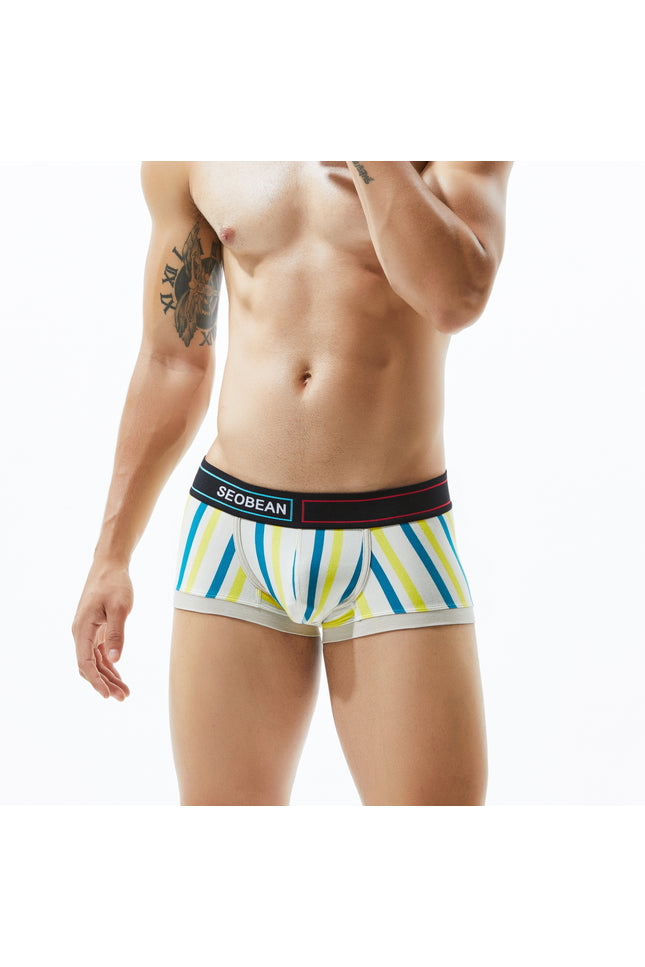 Low Rise Stripe Boxer Brief