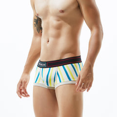 Low Rise Stripe Boxer Brief