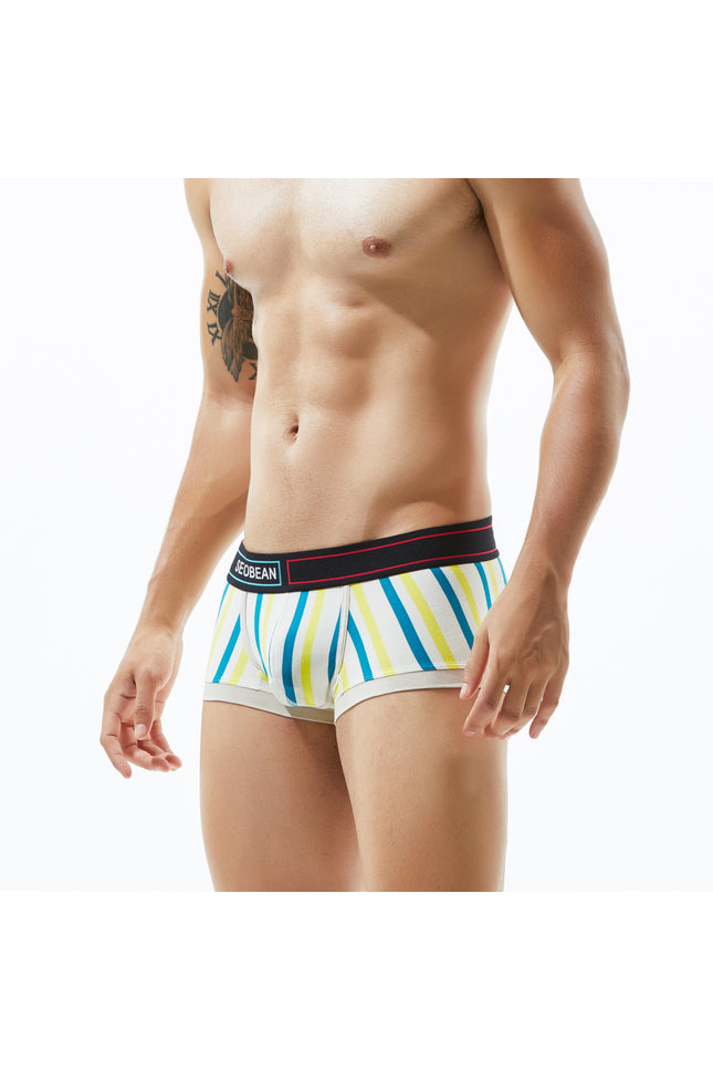 Low Rise Stripe Boxer Brief