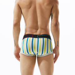 Low Rise Stripe Boxer Brief