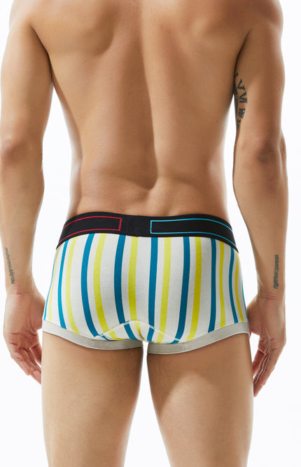 Low Rise Stripe Boxer Brief