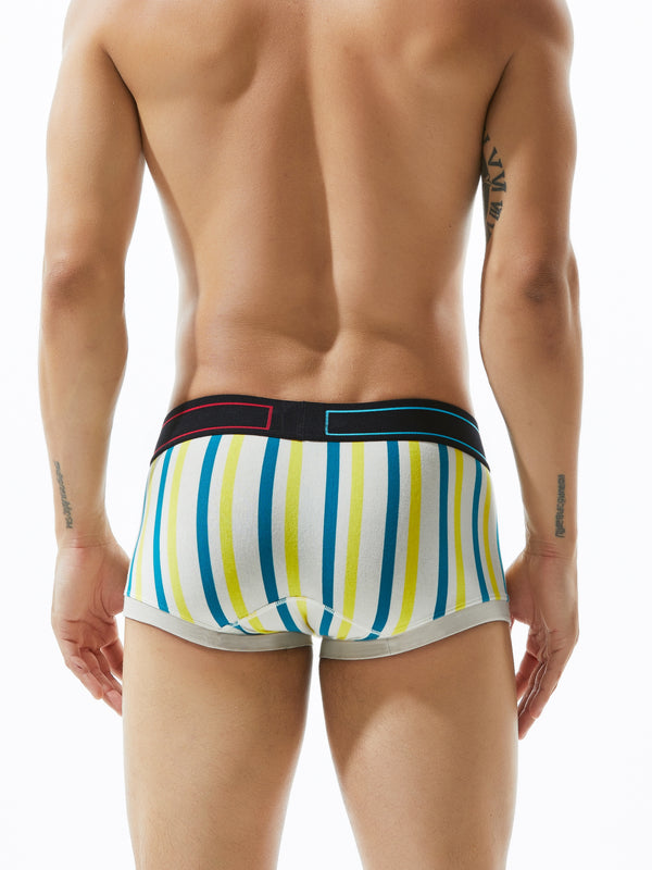Low Rise Stripe Boxer Brief