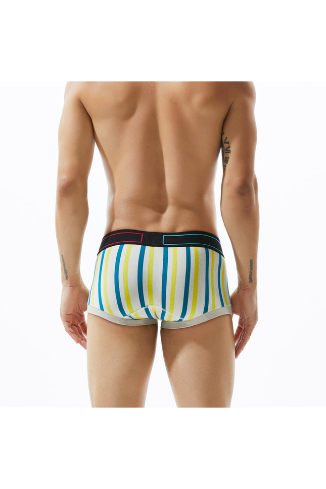 Low Rise Stripe Boxer Brief
