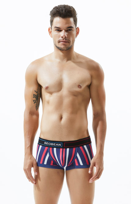 Low Rise Stripe Boxer Brief