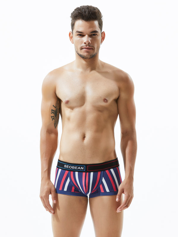 Low Rise Stripe Boxer Brief