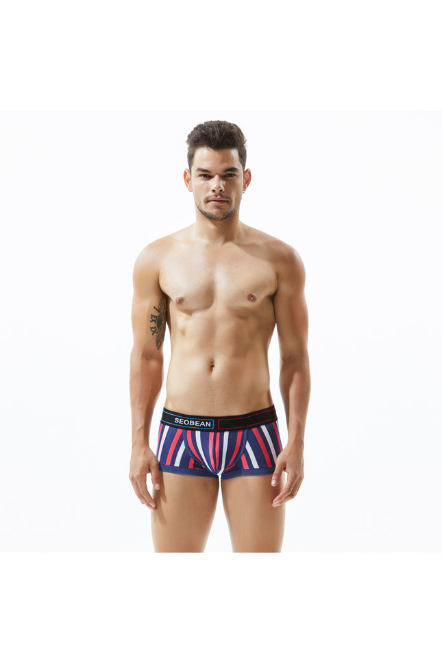 Low Rise Stripe Boxer Brief
