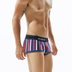 Low Rise Stripe Boxer Brief