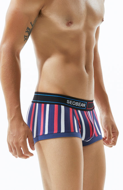 Low Rise Stripe Boxer Brief