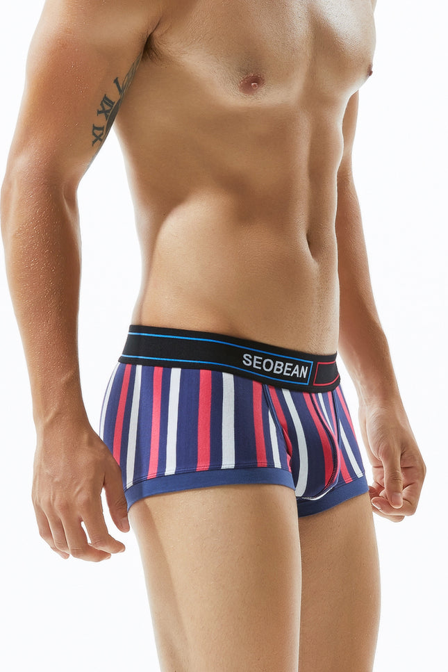 Low Rise Stripe Boxer Brief