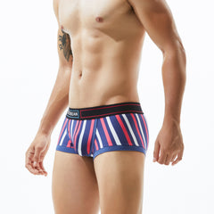 Low Rise Stripe Boxer Brief