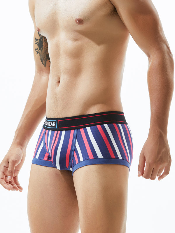 Low Rise Stripe Boxer Brief