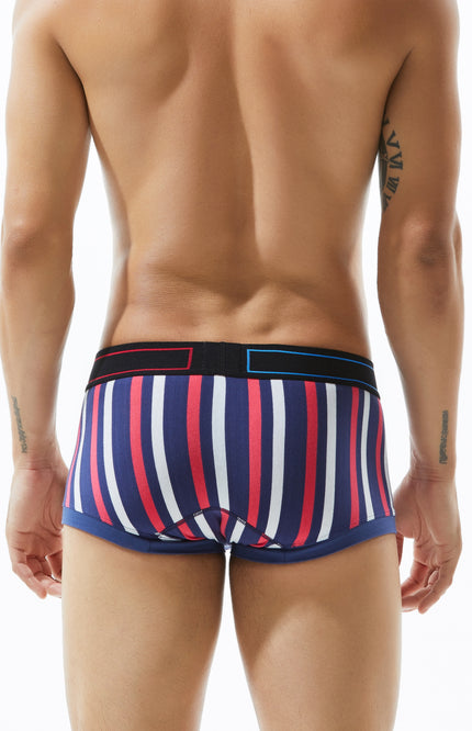 Low Rise Stripe Boxer Brief