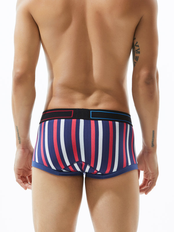Low Rise Stripe Boxer Brief
