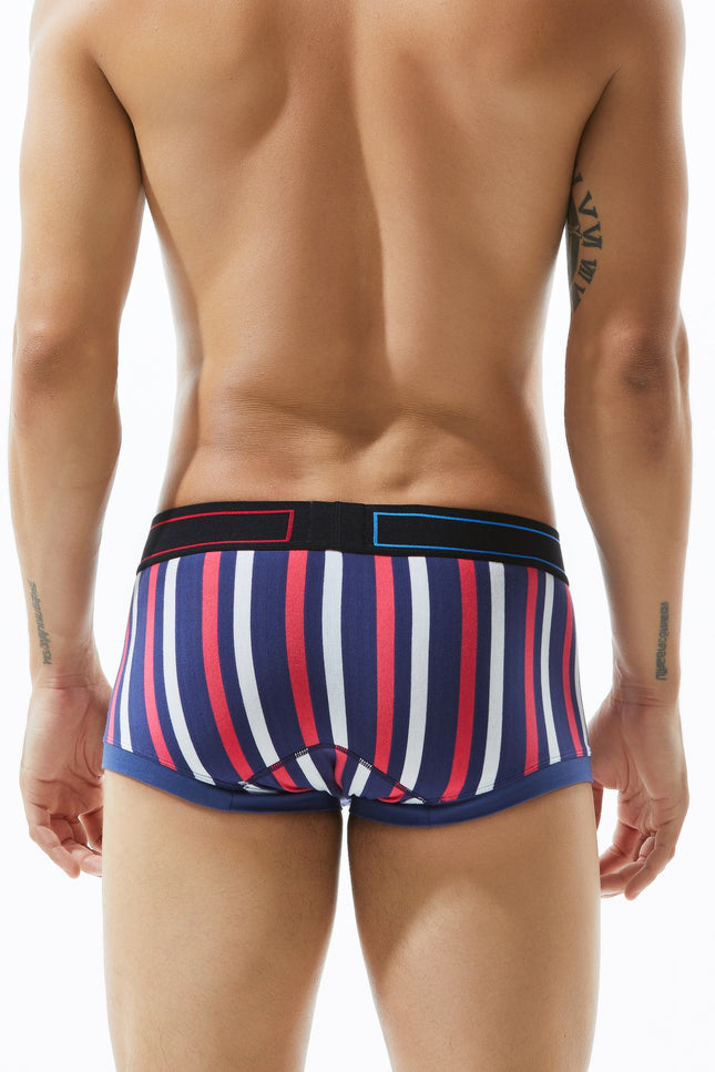 Low Rise Stripe Boxer Brief