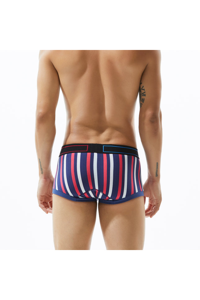 Low Rise Stripe Boxer Brief