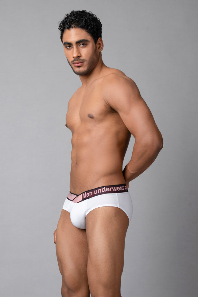 CloudFit- Sakura Modal Brief