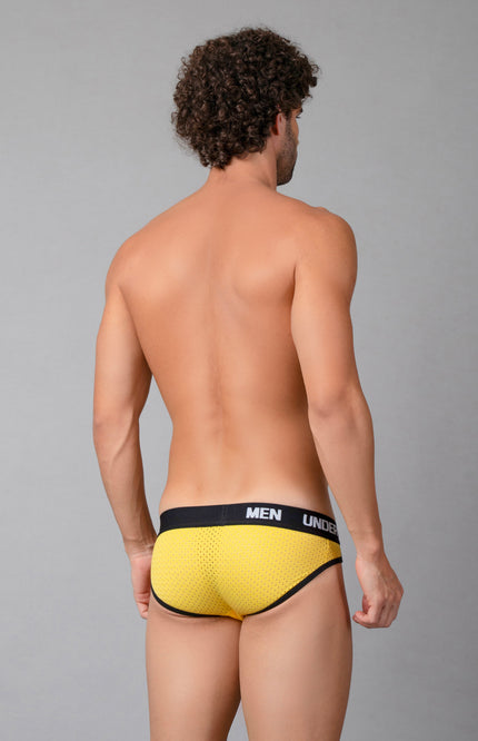 Powerup Mesh Brief