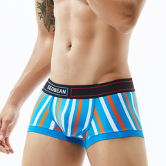 Low Rise Stripe Boxer Brief