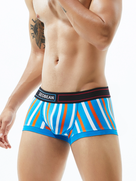 Low Rise Stripe Boxer Brief