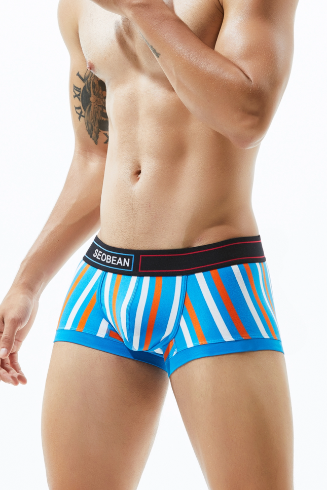 Low Rise Stripe Boxer Brief